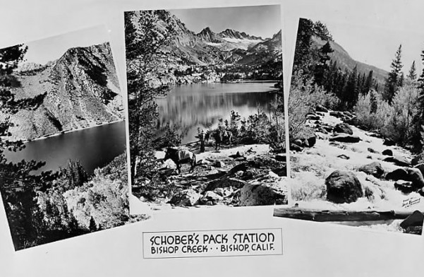 Old b&w postcard - bishop creek lodge