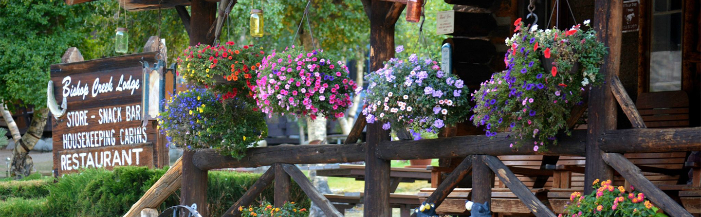 Bishop Creek Lodge - Bishop California Cabins and Lodging